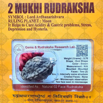2 MUKHI CERTIFIED RUDRAKSHA For Harmony & Relationships