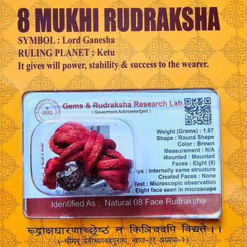 8 MUKHI CERTIFIED RUDRAKSHA For Stability & Willpower