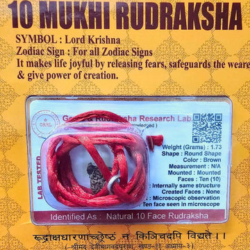 10 MUKHI CERTIFIED RUDRAKSHA For Protection & Peace of mind Regular price