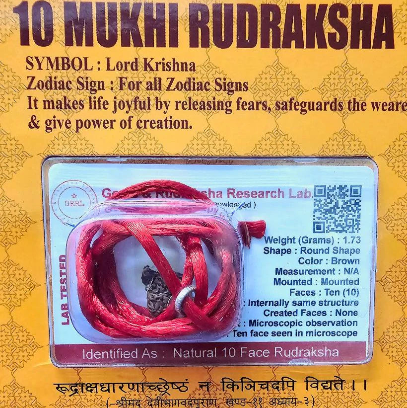 10 MUKHI CERTIFIED RUDRAKSHA For Protection & Peace of mind Regular price
